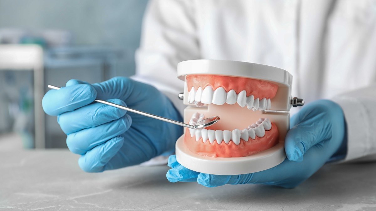 Prosthetic teeth set on a working model at a dental laboratory Dentist holding a full dental arch model while explaining how a denture is fitted